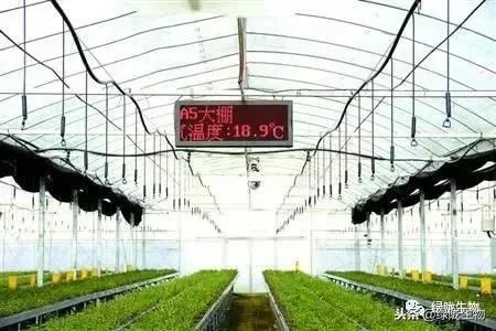 冬季使用微生物菌劑與物聯網應用服務的關鍵注意事項